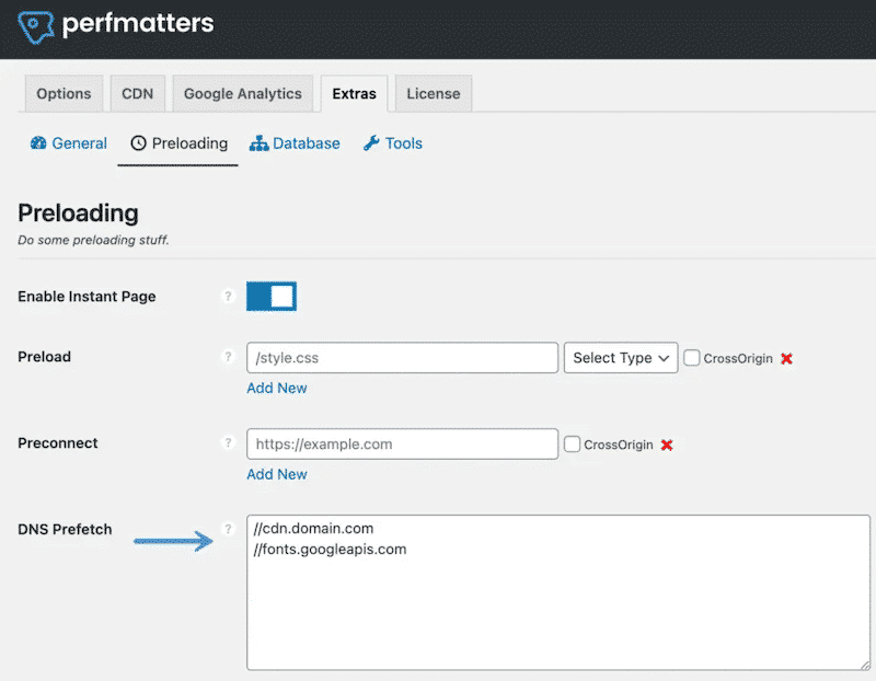 DNS prefetch option – Source perfmatters WordPress plugin