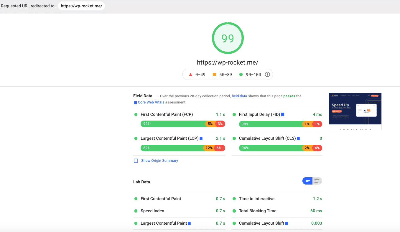 Example: Audit of WP Rocket’s official website (99/100 score) - Source: PSI