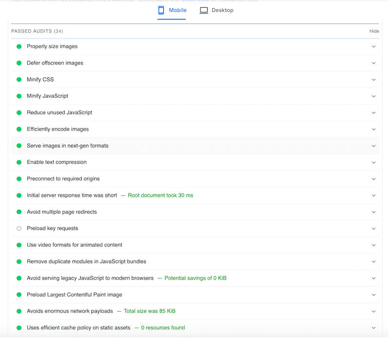 Passed audits with WP Rocket - Source: PageSpeed Insights

