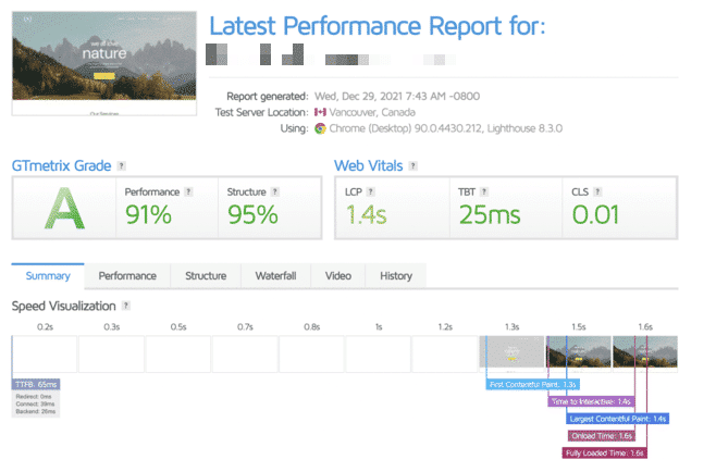 GTmetrix results before WP Rocket